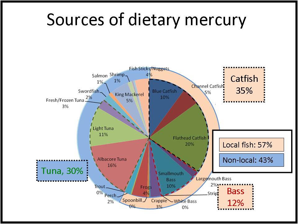 study result: Dietary mercury pie chart
